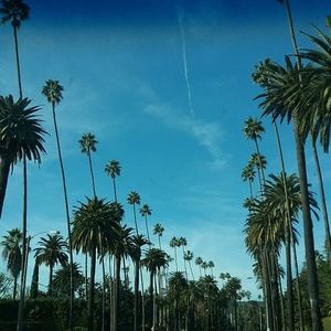 Meet your Posher, Dakota